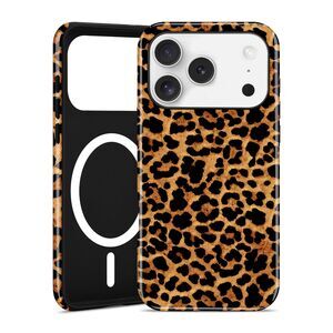 IPhone 17 Pro Max, Trendy Luxury Magnetic Phone Case, 20M-176PH004